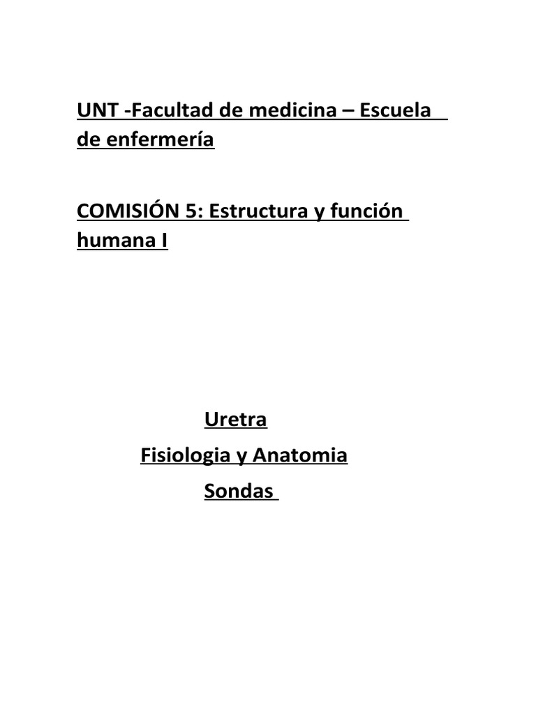 Uretra COM5 | PDF | Sistema urinario | Vejiga urinaria