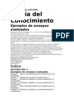 Ejemplos de Ensayos 1.PDF.1240272155