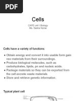 Cell Structure Function | PDF | Cell (Biology) | Cell Nucleus