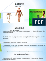 Anatomia Humana: Divisões, Planos e Terminologia Básica