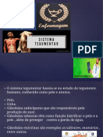 3sistema Tegumentar PDF Aula-1
