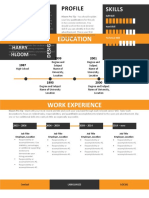 Free Resume Template HL Practical Bold