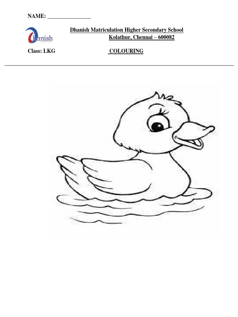 Colouring LKG PDF