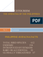 Ecotourism Activity - Endemic Birds of The Philippines