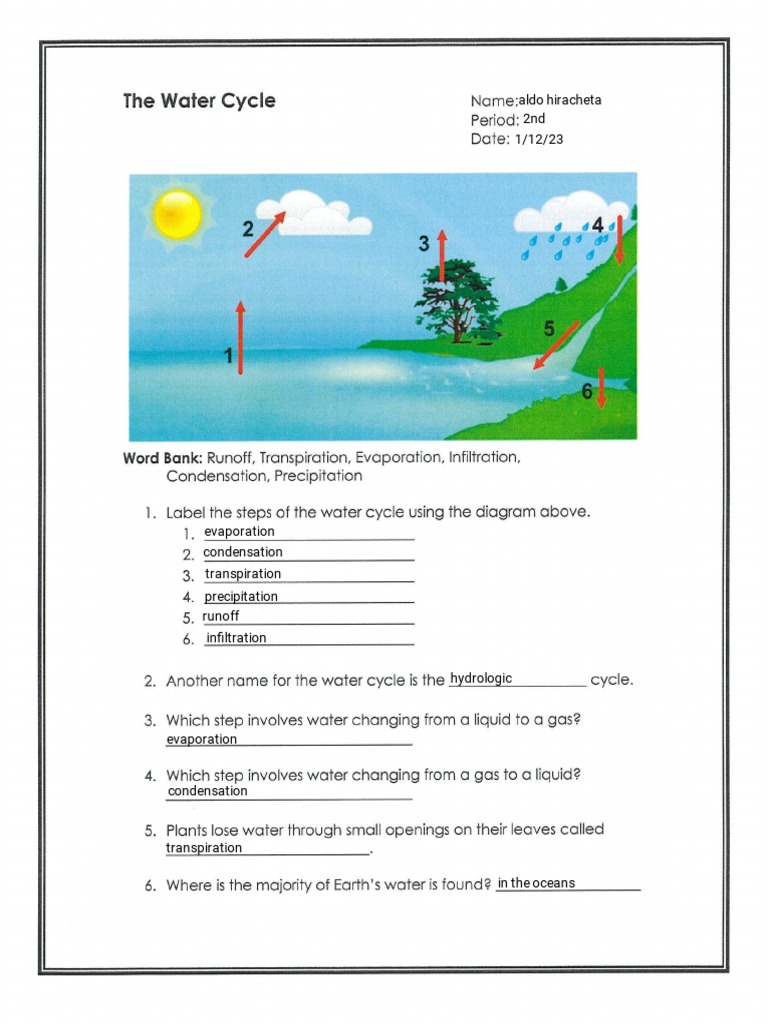 Kami Export Aldo Hiracheta Biogeochemical Cycles Pdf Carbon