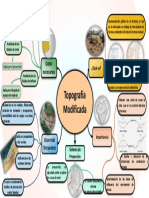 Mapa Investigativo Topografia Modificada