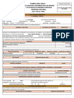 Formulario Único Declaración Juramentada de Bienes Y Actividad Económica Privada Persona Natural (LEY 190 de 1995)