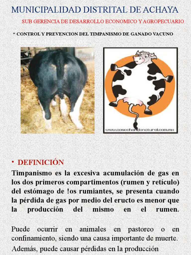 Control Del Timpanismo PDF