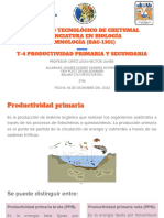 T-4 Productividad Primaria y Secundaria