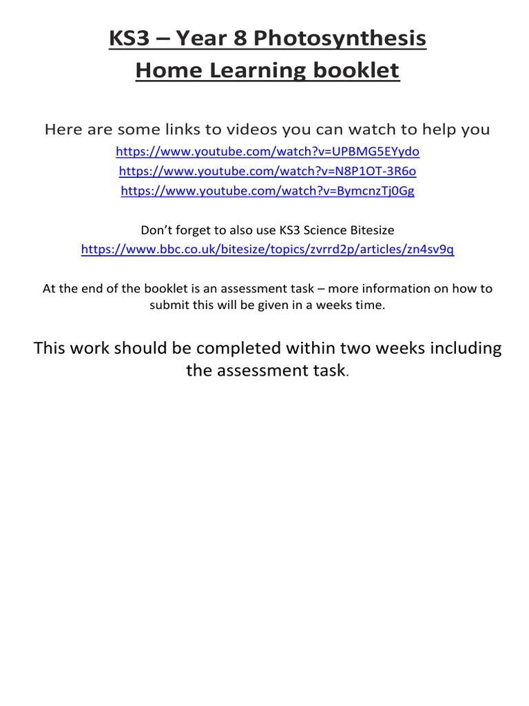 Year 8 Photosynthesis | PDF | Leaf | Photosynthesis