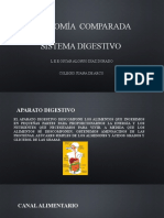 Anatomía Comparada Sistema Digestivo