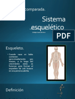 Sistema Esquelético Clase 1