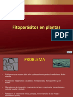 Fitopatogenos en Plantas