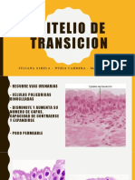 EPITELIO DE TRANSICION