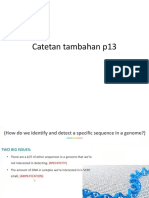 CTTN Tambahan P13