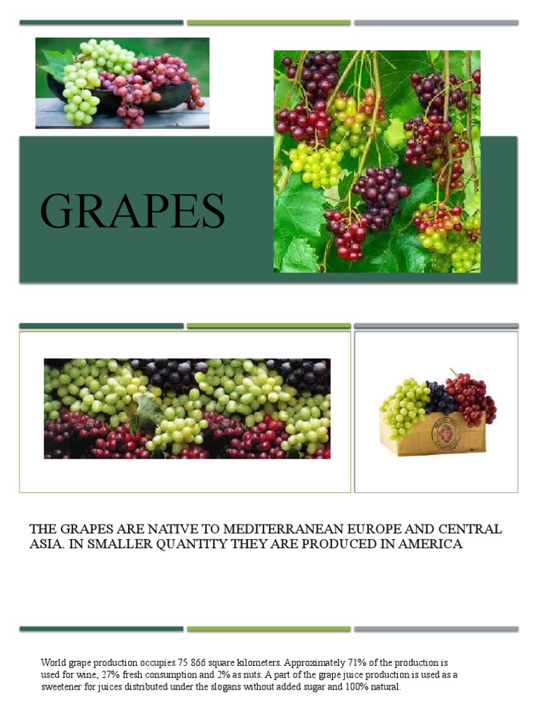 Grapes PDF