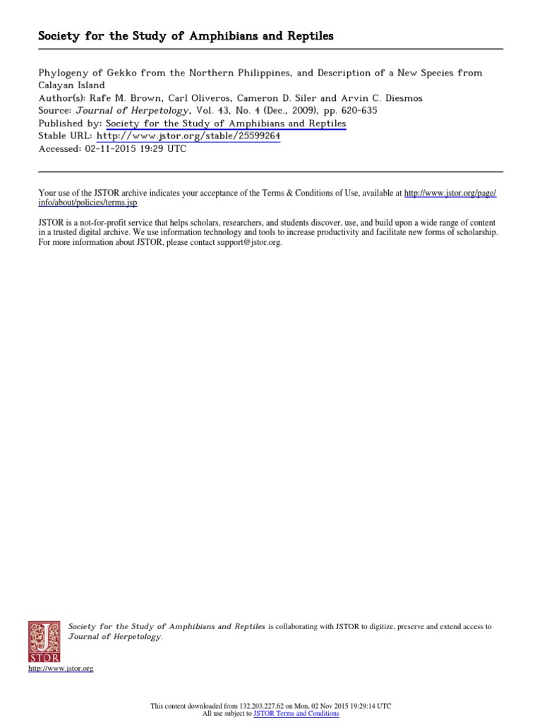 Phylogeny of Gekko From The Northern Philippines, and Description of A