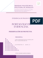 Copia de Manual de Procedimientos - Técnicos