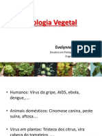 7 - Virologia