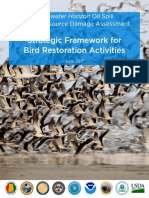 Birds Strategic Framework 06.23.17