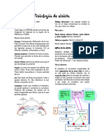 Fisiología Resumen