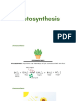 G10 Photosynthesis