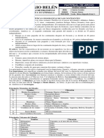 Caracteristicas Geograficas de Los Continentes