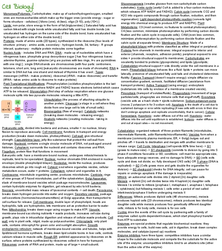 scioly-cell-bio-basic-notes-pdf-cell-biology-meiosis