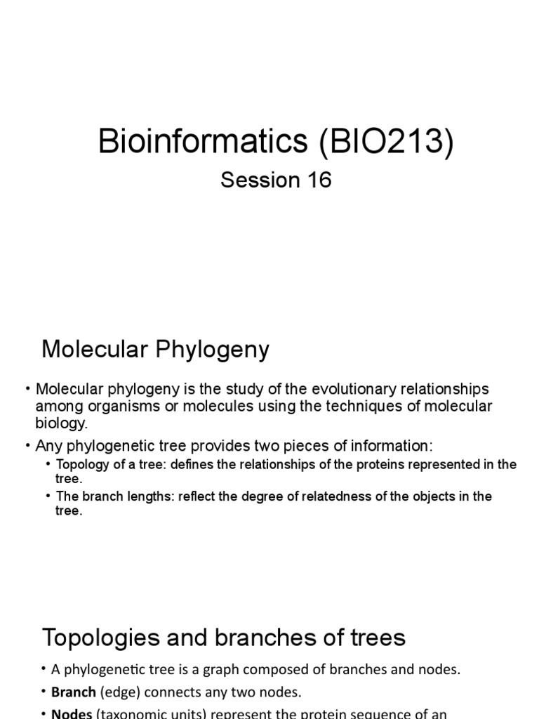 Molecular Phylogeny Basics | PDF | Phylogenetic Tree | Molecular ...