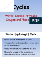 Cycles: Water, Carbon, Nitrogen Oxygen and Phosphorus