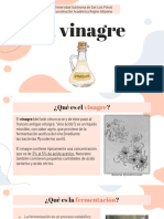 Elaboracion Del Vinagre