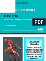 Clase 5 Morfofisiologia Normal I 2021 - II Dra Patricia Basurto