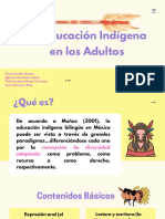 Educación indígena en adultos: lenguas, analfabetismo y programas