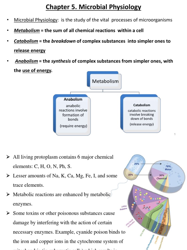 Chapter 5 - Microbial Metabolism - Modifiedfinal | PDF | Cellular
