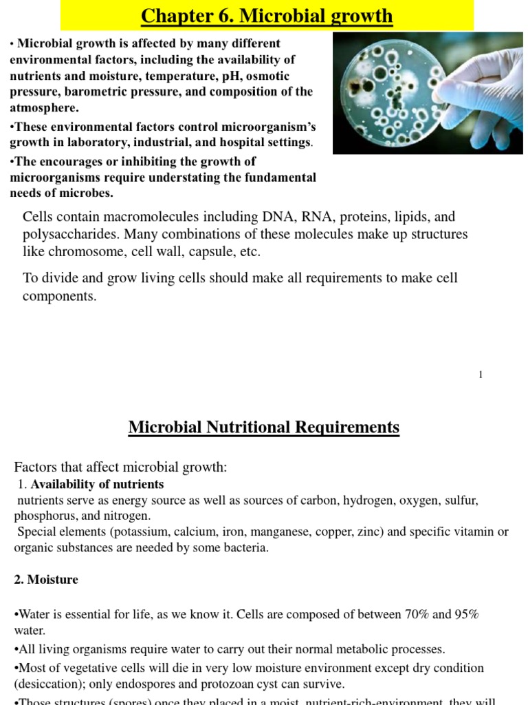 Chapter 6 Microbial Growth Modified PDF Bacteria Growth Medium
