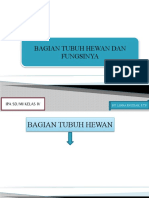 Bagian Tubuh Hewan Dan Fungsinya Kls 4