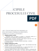 Principiile Procesului Civil