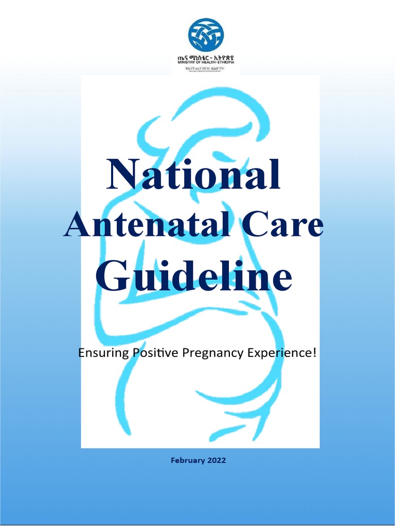 Prenatal versus antenatal – Exploring the differences in terminology and implications for pregnancy care visual data 3