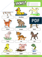 Baby Animals Esl Picture Dictionary For Kids - (Chiasesachtienganh)