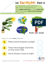 Grade 1 Plants and Sunlight Part 2 Worksheet