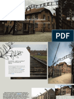 Auschwitz Birkenau-Baiko Alexandra