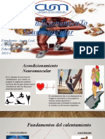 Acondicionamiento Neuromuscular