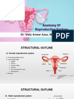 Anatomy of the Male and Female Reproductive Systems