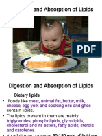 6.digetion of Lipids
