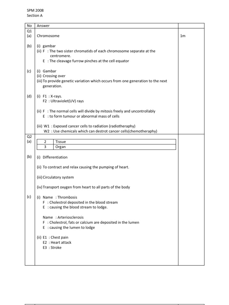 Skema Biologi SPM 2008 | PDF