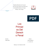 Principios Del Derecho Penal - Samuel Martinez