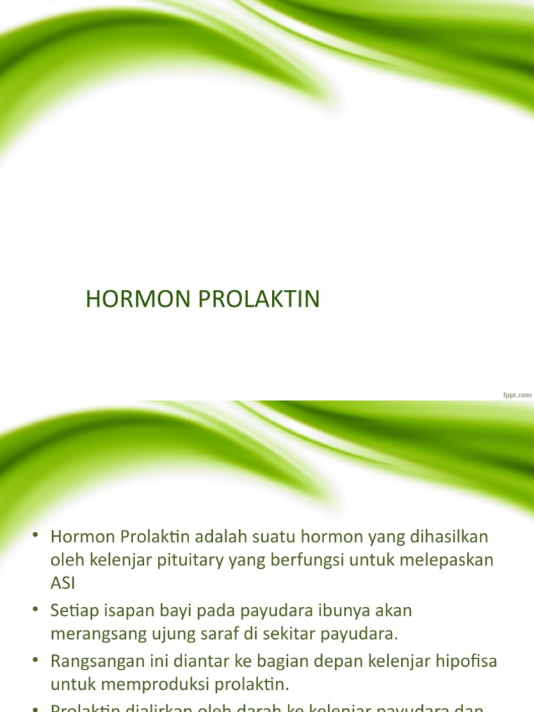 Hormon Prolaktin | PDF