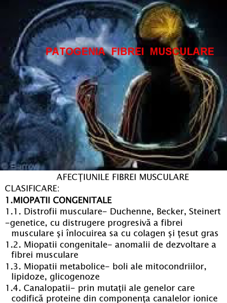 14 Distrofiile Musculare Progresive | PDF