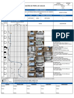 Qaqc-Fo-Gen-30 Registro de Perfil de Suelos-Modelo