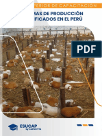 Sistemas de Producción Identificados en El Perú Terminado